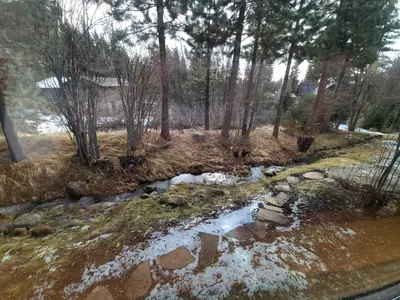 a stream in the woods with snow on the ground at IVH0869 - Cinnabar Creek home in Incline Village