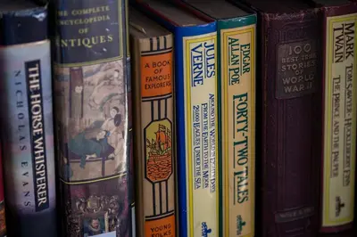 a group of books on a bookshelf at Sequoia Retreat - Scenic Pool, Hot Tub, & Trails in Three Rivers
