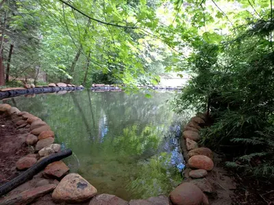 a pool of water with trees and rocks around it at Gorgeous Cabin Rental with Spacious Furnished Deck in Pioneer, California in Pioneer