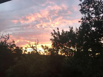 a sunset with trees in the foreground at Inspiring Cottage Rental for a Vacation in California Wine Country in Lockeford
