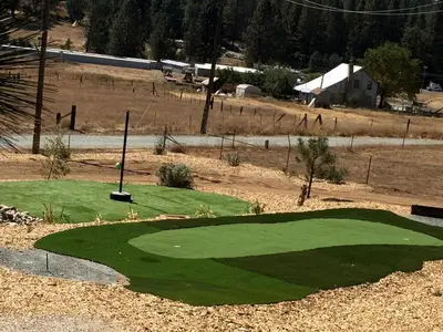 a small green golf course with a putting green at Luxury Cabin Rental with a Fire Pit in Coulterville, California in Coulterville