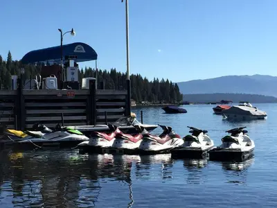 a group of birds sitting on rafts in the water at Traditional Log Cabin Rental for Couples on the West Shore of Lake Tahoe, California in Tahoe City