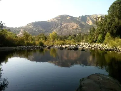 a river with a bunch of animals in the water at Captivating Riverfront Vacation Rental for Large Groups in Three Rivers, California in Three Rivers