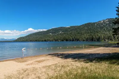 a lake with a bunch of birds in the water at Paradise on Pinnacle in Truckee
