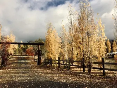 a fence in a field with trees in the background at Quiet Cottage Rental for Two in Horse Country near Yosemite National Park Gateway, California in Catheys Valley