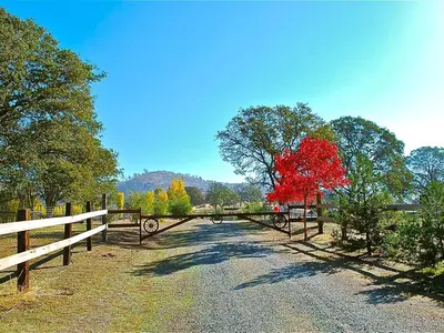 a road with a fence and a red tree at Quiet Cottage Rental for Two in Horse Country near Yosemite National Park Gateway, California in Catheys Valley