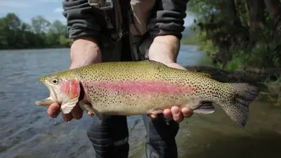 a man holding a brown trout in his hands at Modern Mountain Luxury Soak, Stay, & Be Spoiled in Shaver Lake
