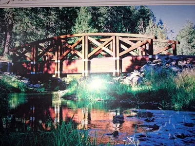 a wooden bridge over a pond with ducks in the water at Modern Woodland Cabin Getaway with a Fireplace in Truckee, California in Truckee