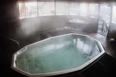a bath tub with a zebra in it at Chamonix Year-Round Fun with Shared Pool in Mammoth Lakes