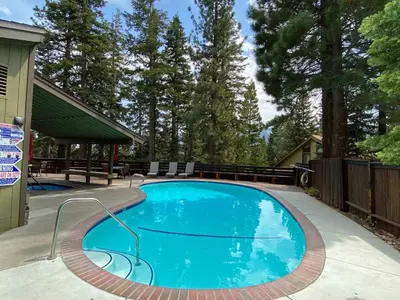 a swimming pool in a yard with trees at Hidden Valley Homestead Near Hike Bike & More in Mammoth Lakes