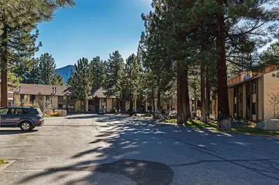 a tree lined street with a car parked on the road at Horizons 4 Year-Round Outdoor Activities in Mammoth Lakes