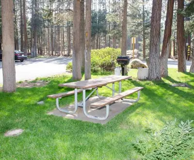 a picnic table sitting in the grass near trees at Sunshine Village #142 Close to Shops & Eats in Mammoth Lakes
