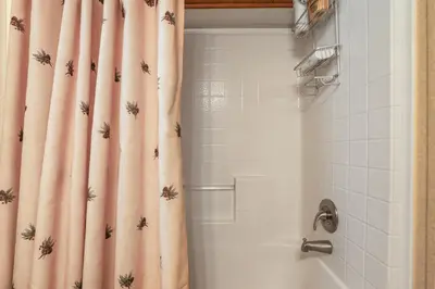 a bathroom with a shower curtain with spiders on it at The Cozy Cub Cabin 7 Min to Lake in South Lake Tahoe