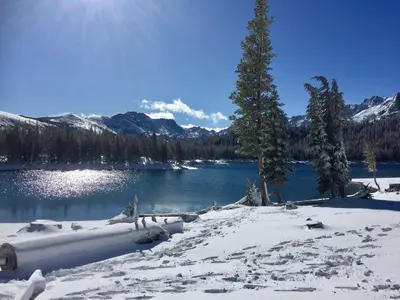 a snow covered lake with a tree and mountains at Mammoth View Villas - Shop Hike or Golf in Mammoth Lakes