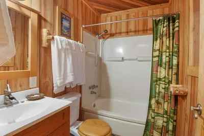 a bathroom with a toilet and a sink and a shower at Tahoe Pines Cabin in Homewood