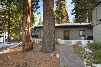 two trees in front of a house at Waters Edge Escape - Patio with BBQ Near Beach in Tahoma