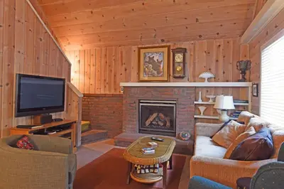 a living room with a fireplace and a tv at Woodland Chalet - 2 miles from Beach Access in Tahoma