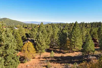 an aerial view of a forest of christmas trees at Hilltop Hideaway w Game Room & Forest Views in Truckee