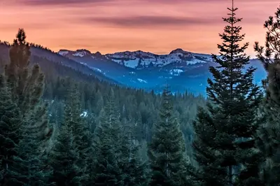 a view of a forest with trees and mountains at Hilltop Hideaway w Game Room & Forest Views in Truckee