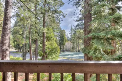 a wooden bench in a park with trees at Lake Forest Villa Patio w BBQ in Tahoe City