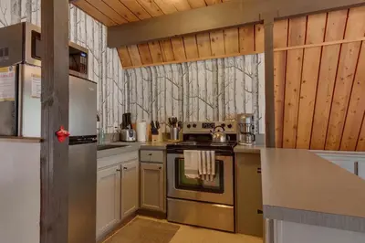 a kitchen with stainless steel appliances and wooden walls at Heavenly Hollow in South Lake Tahoe
