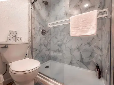 a bathroom with a toilet and a shower at Lakeland Getaway - Walk to Lake in South Lake Tahoe