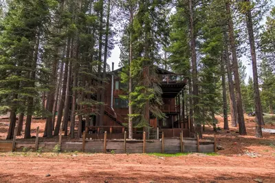 a tree house in the woods at Bear Haus - Fur babies welcome in South Lake Tahoe