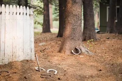 a fence in the dirt next to some trees at Serenity Woods - Game Room & More in South Lake Tahoe