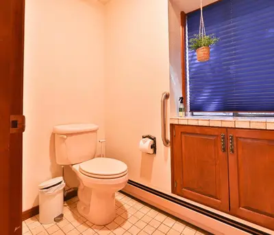 a bathroom with a toilet and a window with a plant at Sunset Cove Chic Tahoe Retreat in Glenbrook