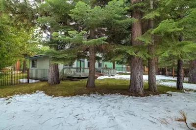 a group of trees in front of a house at Sutter Trail Sparkles - Air conditioned large family home in South Lake Tahoe