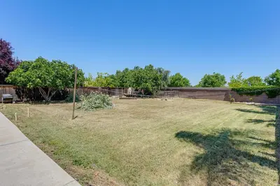 a yard with a tree in the grass at 4 Mi to The Streets of Brentwood Home with Fire Pit in Brentwood