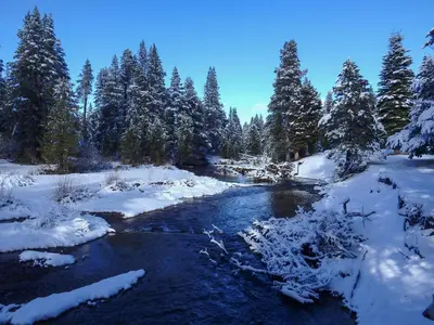 a river covered in snow with trees in the background at Northwoods Hangout Near Tahoe Donner in Truckee