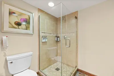 a shower stall in a bathroom with a toilet at Everline Resort & Spa Palisades-Valley View Suite in Olympic Valley