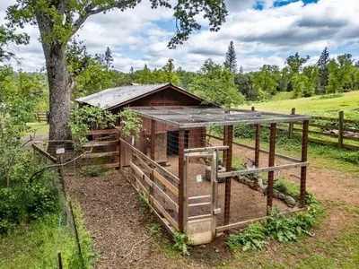 a chicken coop in a field with a tree at Homestead Ranch near Yosemite with Horses and Chickens in Midpines