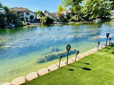 a river with ducks swimming in the water at Experience Serenity Luxe 4BDR Lake House 25ft Pool in Elk Grove