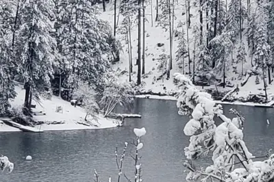 a black and white photo of a pond in a forest at Massive 8 bedroom on the lake in Groveland