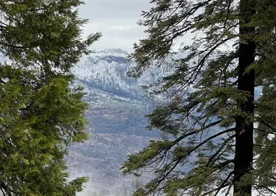 a view of a mountain from between two trees at Yosemite Quail - Nestled in with a View in Yosemite West