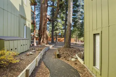 a walkway next to a building next to trees at Regency Retreat - Studio for 2 in Tahoe Vista