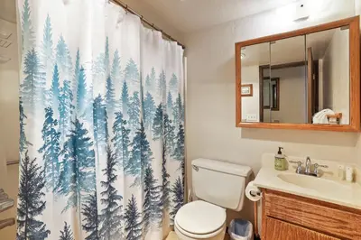 a bathroom with a toilet and a shower curtain with trees at Valley View - Carson Valley Views in Stateline