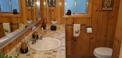 a bathroom with a sink and a toilet at Zephyr Cove Cabin - Walk to Lake & Beach in Zephyr Cove