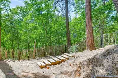 a row of logs sitting in the middle of a forest at Peaceful Forest Views and Patio Twain Harte Home in Twain Harte