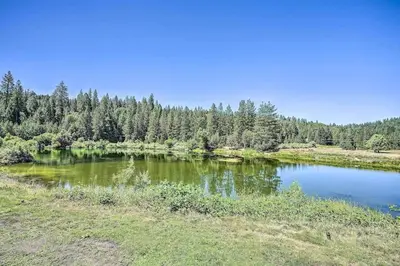 a pond in the middle of a field with trees at Beautiful Large close to Skiing / Wine Tasting! in Pioneer