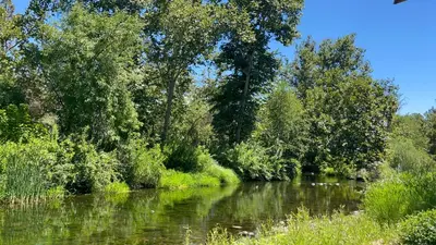 a river with trees on the side of it at Grand Riverside Retreat - Private Walkway to the River in Three Rivers