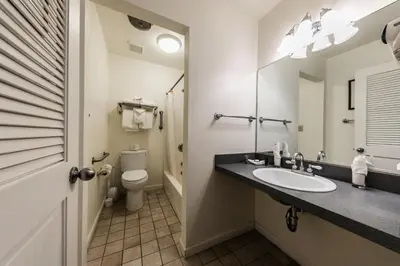 a bathroom with a sink and a toilet at 145 Bldg C condo in Truckee