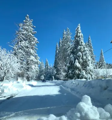 a road covered in snow with snow covered trees at Cozy Cabin - Hot Tub, Fire Pit, & Pets in Arnold