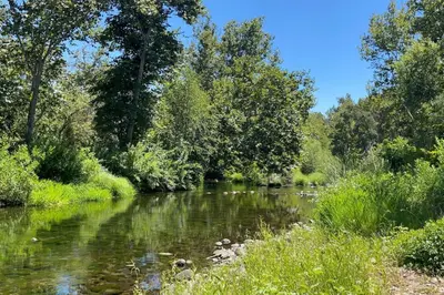 a river with trees on the side of it at Tranquil Riverfront Studio in Three Rivers