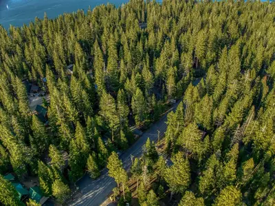 an aerial view of a road in a forest at Laid-Back Tahoe Stay Walk to Lake & EV Charger in Homewood