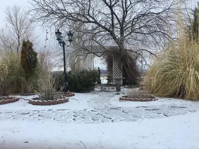a park covered in snow with a tree and a street light at Shady Lady Bed and Breakfast in Scottys Junction