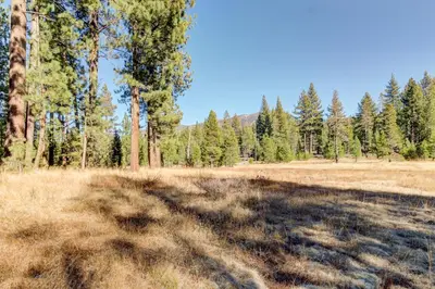 a field with trees in the background at Meadows Crossings in South Lake Tahoe