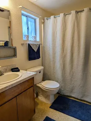 a bathroom with a toilet and a sink and a shower at Meadow View Cabin in Wilsonia in Wilsonia